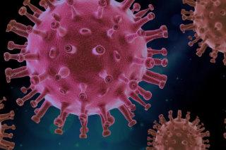 Illustration eines Virus