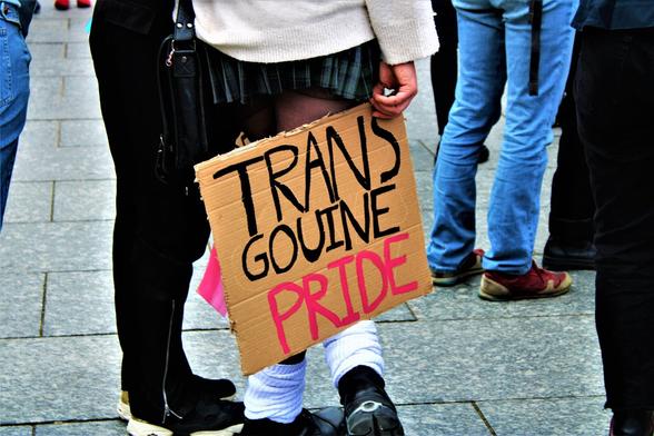 Pancarte "Trans gouine pride"
