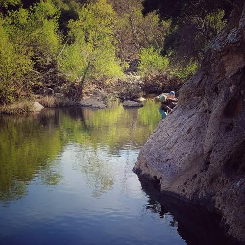 Abby turning the corner on the rock pool traverse. 
#MalibuCreekStatePark
#california #photography #nature #outdoors #gooutside #Calabasas #hiking #malibucreek #scrambling #climbing #bouldering