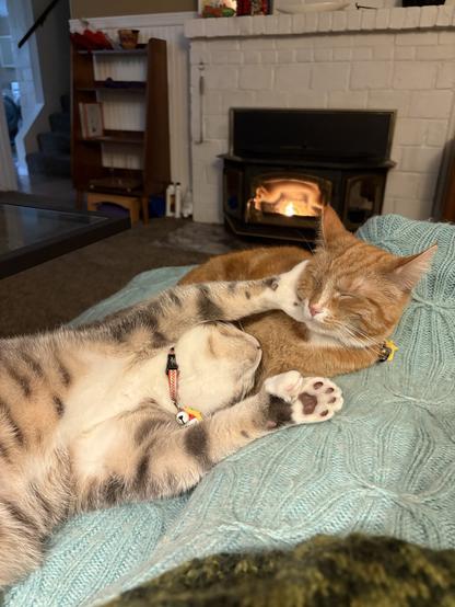 An orange cat and a grey cat lie on a sky blue blanket in front of a fire. Both are asleep. The grey cat is on his back with his front paw against the orange cat’s cheek.