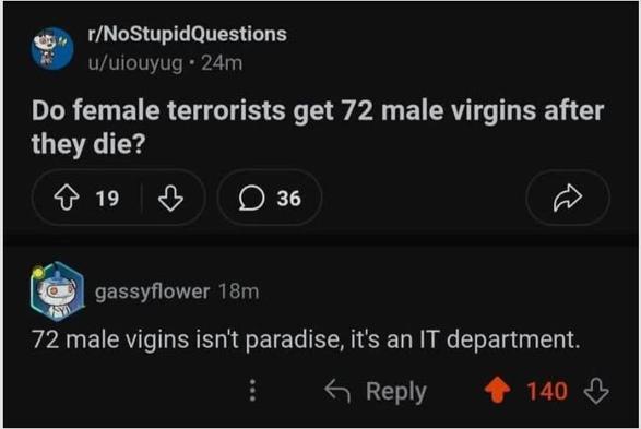 Screenshot eines Posting. 
Gestellt wird die Frage "Bekommen weibliche Terroristen 72 männliche Jungfrauen, wenn sie sterben?"
Die Antwort:
"72 männliche Jungfrauen sind nicht das Paradies, das ist ein IT-Department!"