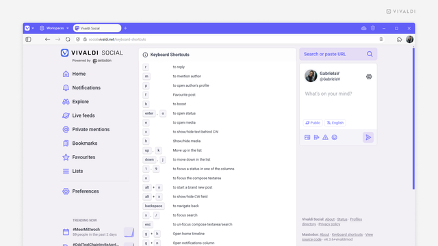 Vivaldi Social's keyboard cheat sheet page open in the Vivaldi browser.