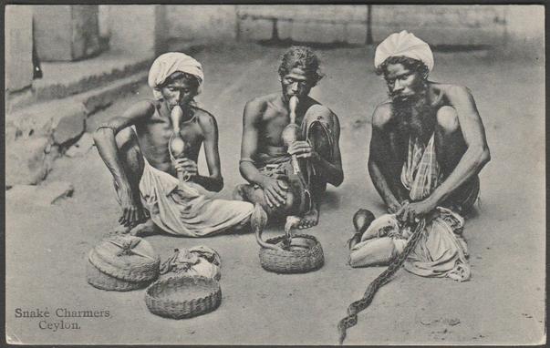 Printed monochrome postcard showing a view of three snake charmers in Ceylon.

Published by Plâté Ltd, Colombo, No 174, printed in Saxony, c.1910.

Postally unused.

Very good condition, with very slight corner bumps.