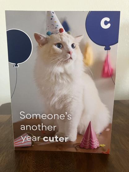 A birthday card from Chewy, featuring a light-colored cat wearing a party hat and the text "someone's another year cuter"