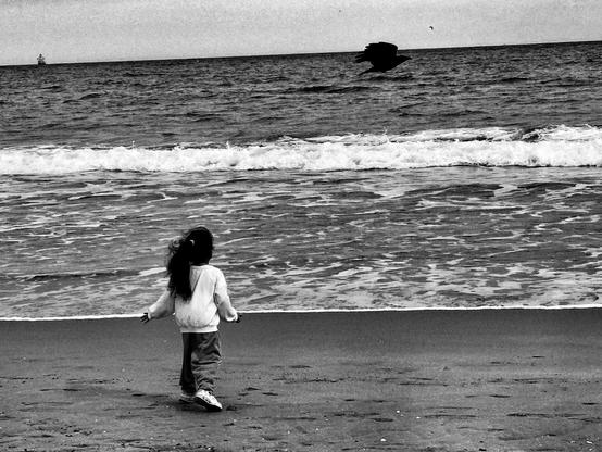 Una niña de pelo oscuro, vestida con una sudadera clara y pantalones grisáceos, se encuentra de espaldas a la cámara en una playa. Mira hacia un mar con olas suaves. Un pájaro oscuro, posiblemente un cuervo, vuela sobre el agua. En el horizonte se puede ver un barco pequeño y distante. La imagen es en blanco y negro, creando un ambiente sereno y melancólico.