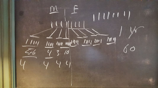 A chart on a blackboard indicating what happens when you have pets that are not spayed or neutered. 
The chart begins with M / F and indicates 9 babies in one litter below the M and F.
It continues downwards showing how you could have 60 or more animals within one year. The math isn't accurate but the point was made!