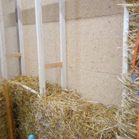 Bales compressed between a ladder style double stud arrangement
