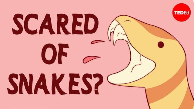 the thumbnail of the video, showing a very cute animation of a viper opening its jaws, with the words "SCARED OF SNAKES?" just to the left of it