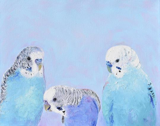 A thickly textured oil painting of three blue pet budgerigars on a soft blue and turquoise background. The middle budgie is curiously looking down, while the other two look towards the middle one.