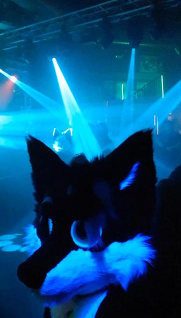 A picture of a fox fursuiter with glowing blue eyes, partially visible at the bottom of the image. Behind the suiter some other suiters are visible, dancing on the dancefloor while being illuminated by blue spotlights.