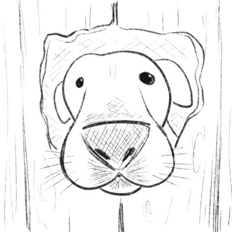 Doodle of a dog snout coming out from a hole in a wooden fence.