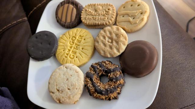 One of every Little Brownie Baking Co Girl Scout cookie

Top: Adventureful, Smores, Trefol
Middle: Thin Mint, Lemon Up, Do-si-do, Tagalong
Bottom: Toffe-tastic, Samoa
