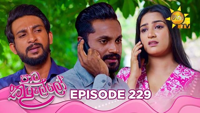 Paata Kurullo - පාට කුරුල්ලෝ | Episode 229 | 2025-03-26 | Hiru TV