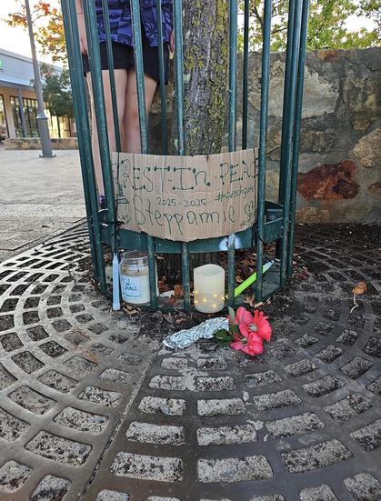 A steel framework on a paved surface protecting a tree. It's festooned with candles and lights, and handwritten signs mourning the loss of Stephanie (2025-2025)