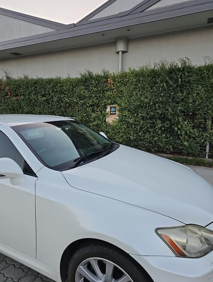 A white car parked under an ALDI No Standing sign, which is currently overgrown by a hedge but is usually in plain sight, not that it matters.