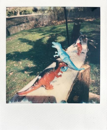 A colour Polaroid of a few toy dinosaurs on a wooden beam. The dinosaur in the front is red. Behind it is a blue dinosaur with a white belly. In the back is another red dinosaur.