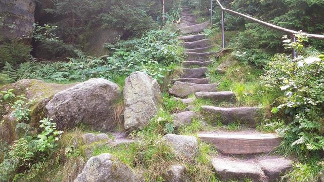 Steintreppe (Wanderweg ) in der Sächsischen Schweiz, Felsbroken, Felsen, Gras und kleines Buschwerk