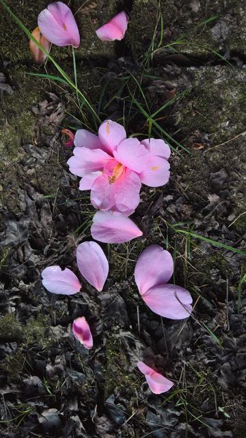 #Gravity... #JustHappens...