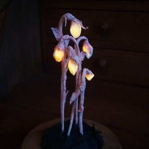 A sculpture of five Monotropa uniflora flowers in very dark surroundings. The flowers have embedded lights and are the centerpiece of the picture. The flower bulbs are a lovely pale yellow, turning nearly orange where the light dims, while the stems are pinkish-white with shaggy leaves protruding from them.