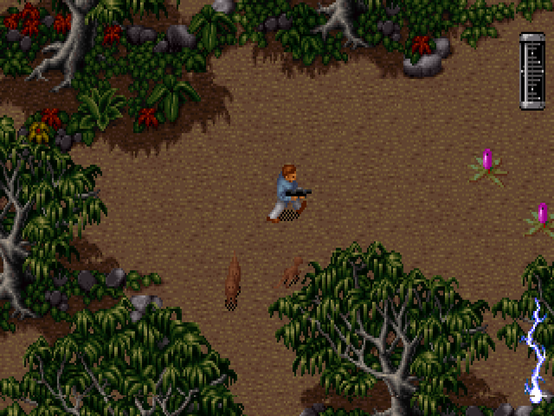 Jurassic Park for DOS, gameplay screenshot