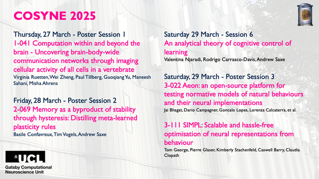 List of work with Gatsby Unit researchers at COSYNE 2025