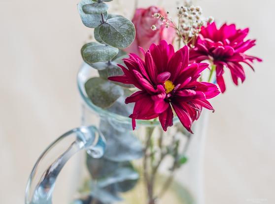 Selective focus on cut flowers in a glass pitcher.