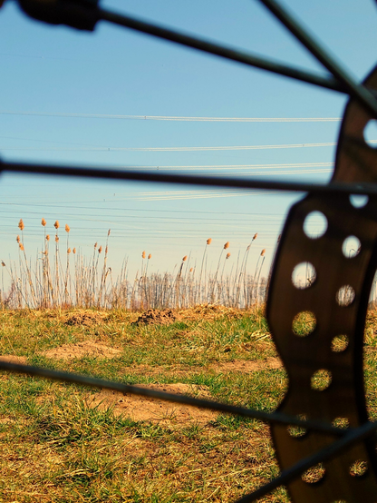 a view through a motorcycle wheel, a flower field under blue sky