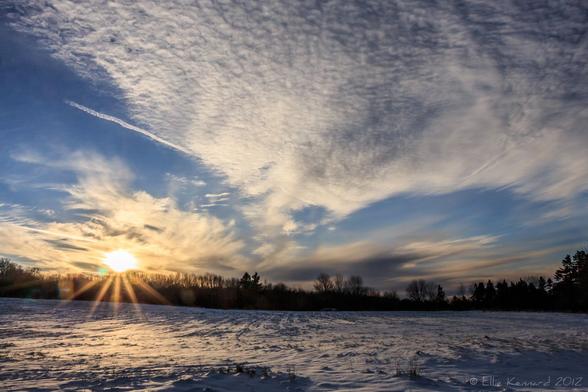 A winter sunset with the sun low on the horizon, just above a dark line of trees, across a snowy field where a few faint dark furrows can be seen. The sky is quite blue with a vapour trail and a burst of speckled and trailing clouds reach up and to the right of the frame. The snow under where the sun is setting has a warm glow and the rays are visible bursting from the setting sun over the trees and snow.
