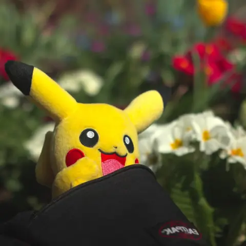 Une peluche de pikachu sort de la poche d’un sac à dos, il a les yeux pétillant et la bouche ouverte. L’arrière-plan flou laisse reconnaitre des fleurs.