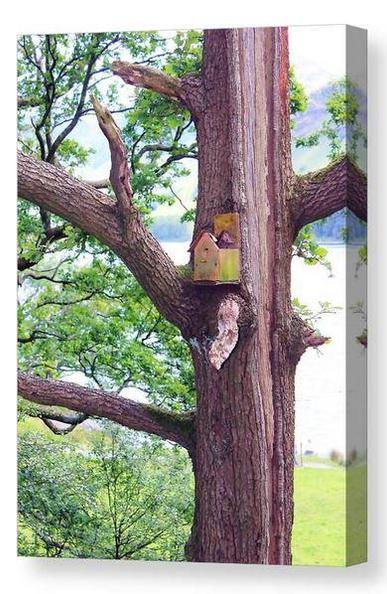 Colourful portrait photograph showing a damaged old birdhouse affixed to the trunk of a tree.  The image is shown as a box canvas print.