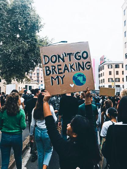 Szene aus einer Demo für Klima- und Umweltschutz, im Zentrum ein Plakat mit der Aufschrift "Dont go breaking my" und einem gemalten Planet Erde
