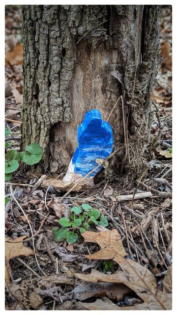 A painted ceramic sculpture in the shape of a footprint stuck in the ground at the base of a tree.