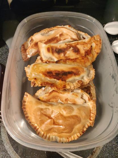 A plastic tupper tray containing the 8 baked empanadas.