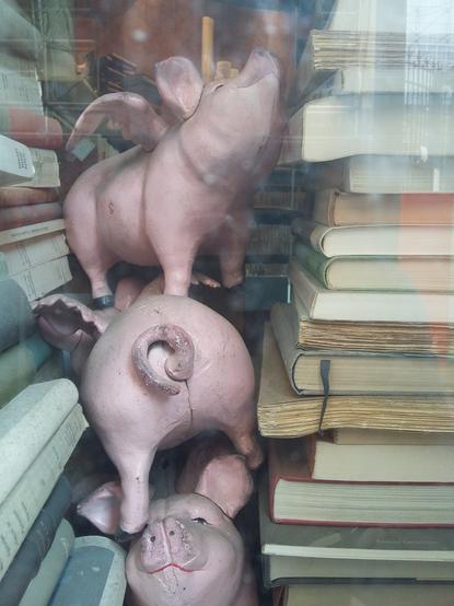 Trois cochons en bois posés les uns sur les autres (on voit la tête du 1er et du 3e et la queue 2e), coincés entre deux piles de livres