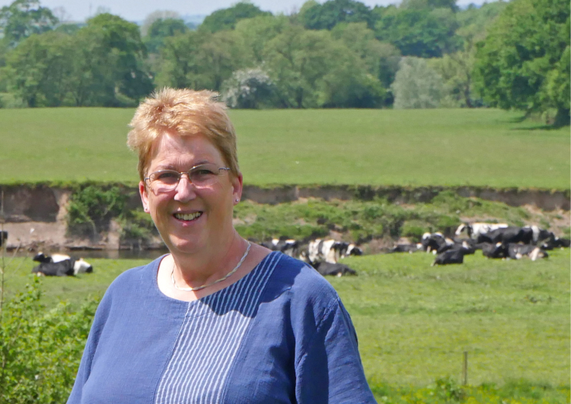 Ann Davies MP on farm