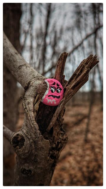 A small round stone painted to look like a pink M&M candy, stuck in a broken tree limb.