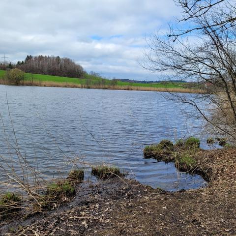 Blick zum See