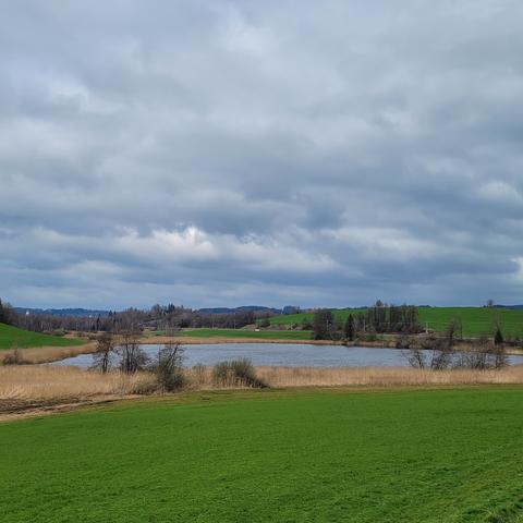 Blick über grüne Wiesen zum See. Eindrücklicher Wolkenhimmel