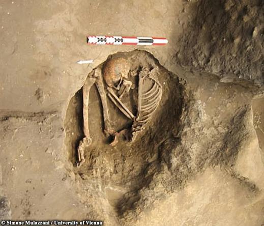 Stone Age European hunter-gatherers reached North Africa by boat, ancient DNA reveals

New genetic studies offer the very first clear evidence that European hunter-gatherers crossed the Mediterranean and came into contact with North African populations as early as 8,500 years ago. The discoveries challenge long-held beliefs about how agriculture and cultural influences reached the region while attesting to the resilience of local populations in the eastern Maghreb.

In new research published in the journal Nature, co-led by Ron Pinhasi of the University of Vienna, David Reich and Mark Lipson of Harvard Medical School, Alfredo Coppa of Sapienza University of Rome, and Giulio Lucarini of the National Research Council of Italy, researchers performed a genome-wide analysis of nine individuals from Algeria and Tunisia from the Later Stone Age until the Neolithic. The study brings to light how early human populations in North Africa interacted with their European counterparts and transitioned from hunting and gathering to food production...