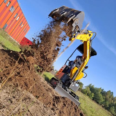 A 1 ton mini excavator doing its thing, that is shoveling dirt from one place to another. It's yellow and the photo is at a weird angle for some reason.

Photo borrowed from seller website.