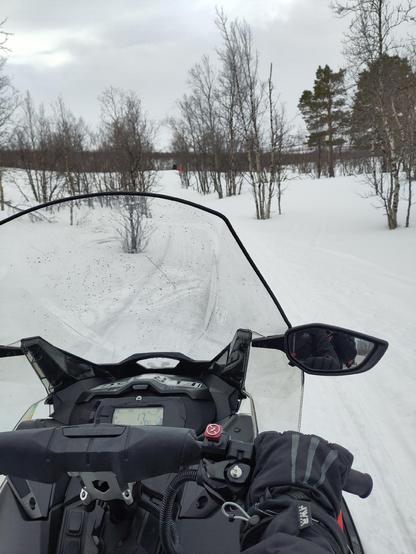 View as a passenger from the back of a snow scooter over an Arctic landscape with low birch trees and snow. A scooter wind screen and handle bars are ble in front. Note: I was NOT driving at this point...