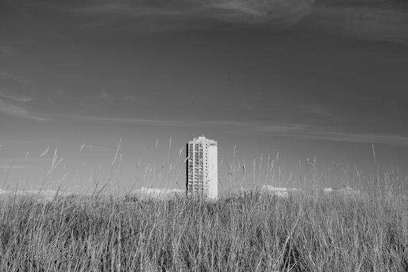 Monochrome photo of a tower block rising into the sky behind a meadow in the foreground.