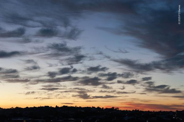 A dawn sky filled with small cumulus that has been blown into wispy skeins by the wind. The clouds are grey and the sky up high is a fading blue, while along the horizon it is lemon and orange. Along the bottom of the image is a still-dark suburban skyline, silhouettes of houses and trees along a gently rolling ridgeline.
