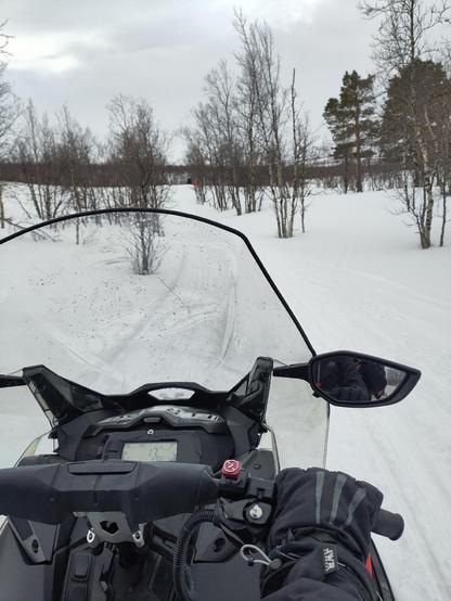 View as a passenger from the back of a snow scooter over an Arctic landscape with low birch trees, a couple of pine trees and lots of snow. A scooter windscreen dashboard and handle bars are in front. Note: I was NOT driving at this point...