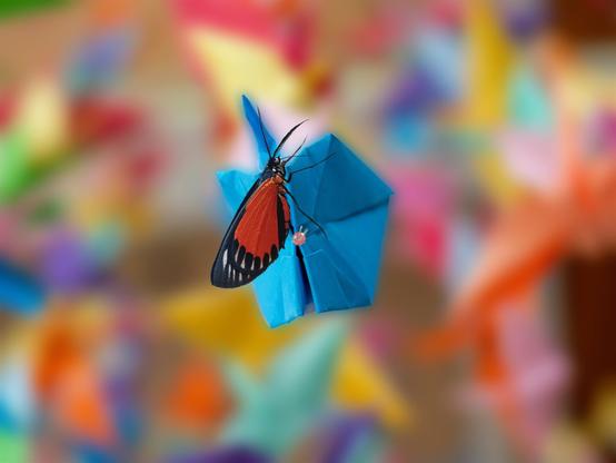 Butterfly posing on flowers made of paper. [Composition with Affinty Photo]