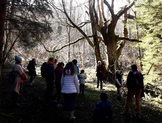Un petit groupe de dos à l'ombre dans le sous bois au premier plan. Derrière, dans le soleil,  la conteuse en anorak rouge grenat devant un vieux et très grand frêne défeuillé. On est en février à 1000 m d'altitude. Tout le monde en anorak !