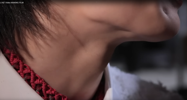 Close-up of I.N's lightly glistening neck, also featuring the braided pink collar.