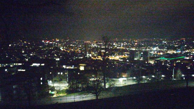 Blick von der Waid aufs nächtliche Zürich.