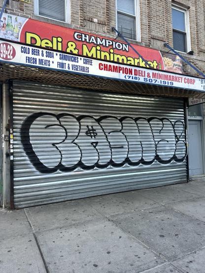 FLASHY! in white bubble letters with a black 3d outline on the closed steel shutter of a bodega. the slats of the shutter are visible through the paint,  almost giving the impression of an old tv screen