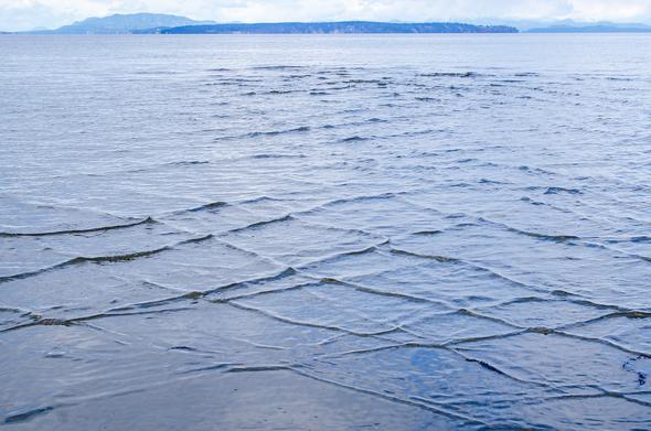 Tiny wavelets going in two directions at once, crossing each other at 90°, making a crosshatch pattern on shallow water near the camera and in a small patch further on. Beyond that, smooth water, and in the distance, low hills of the mainland.